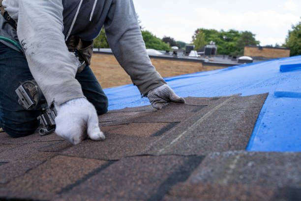 Best Roof Gutter Cleaning  in Columbiana, OH